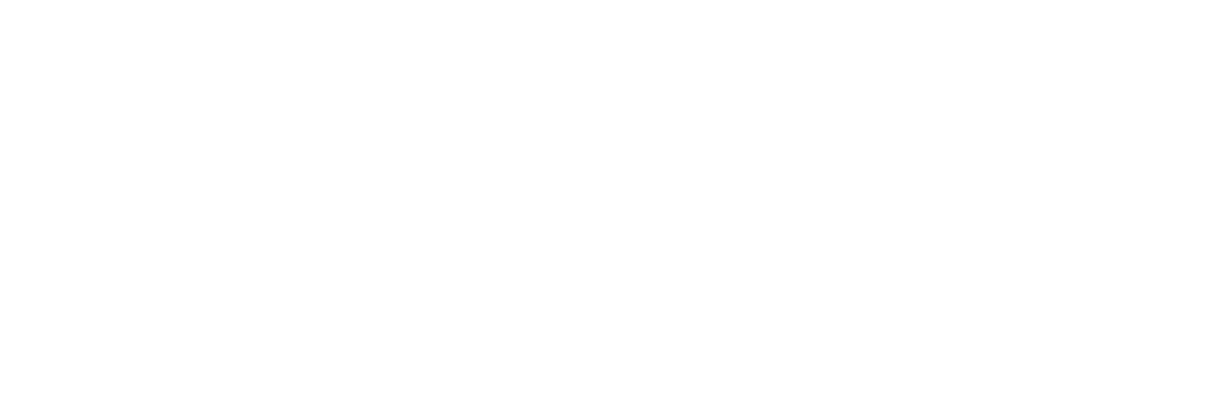SpaceX logo